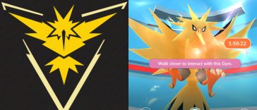 Zapdos-Pokemon-Go-Here