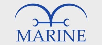 Top Admirals In One Piece