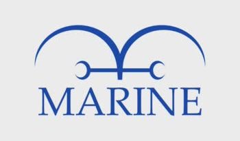 Top Admirals In One Piece