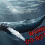 Blue-Whale-Suicide-Game