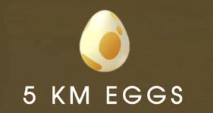 5KM Egg Pool