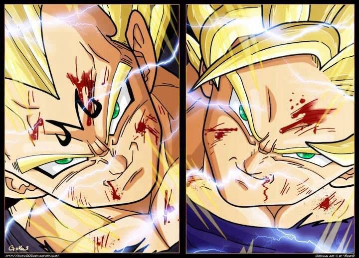 goku and vegeta dbz